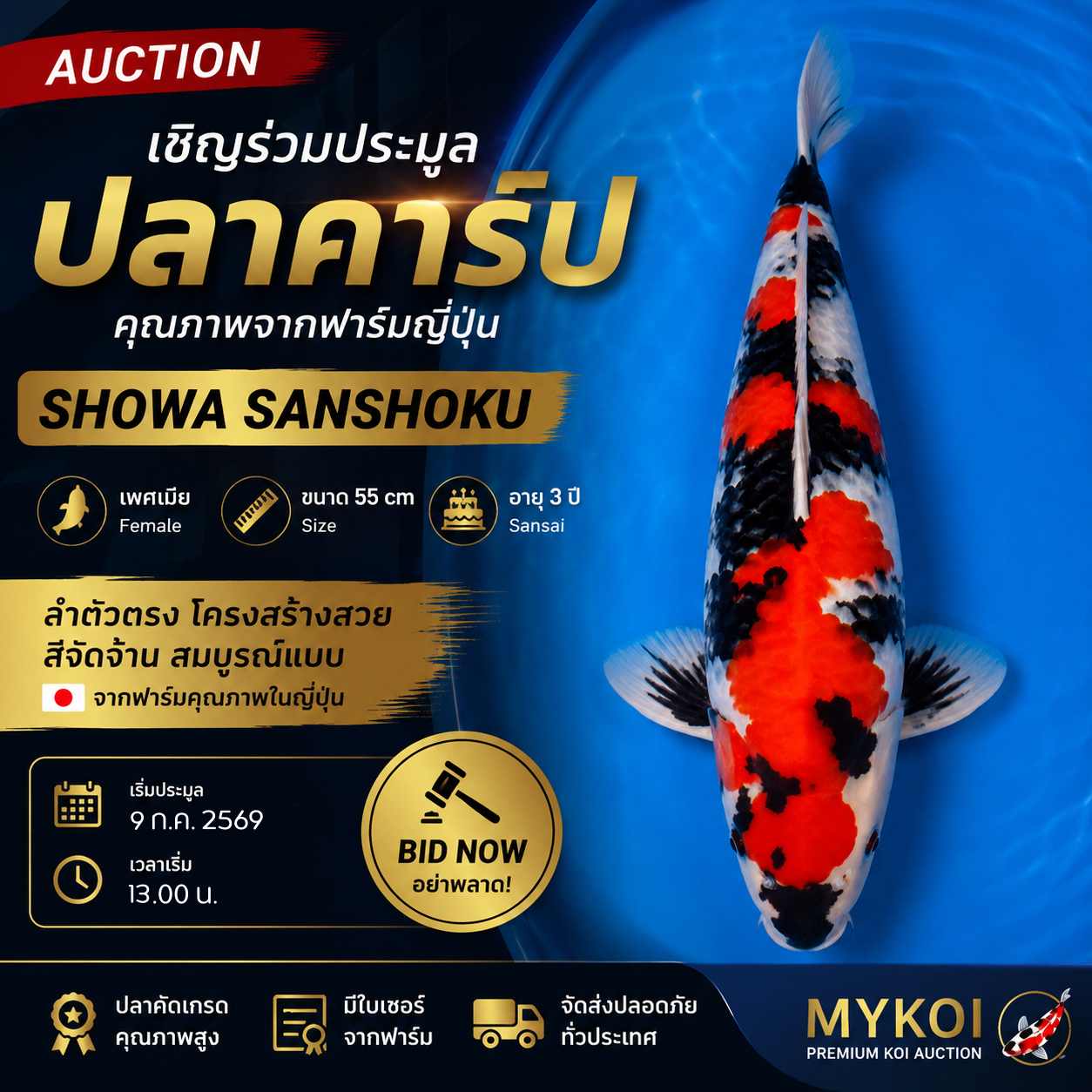 Showa Sanshoku 2026